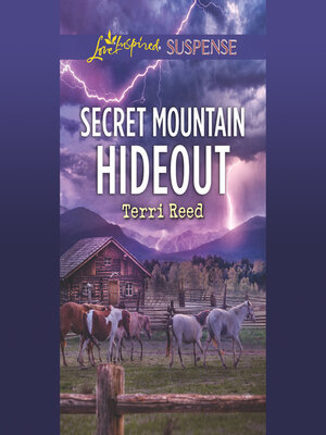 cover image of Secret Mountain Hideout